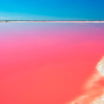 Una laguna rosa para visitar cerca de Cancún